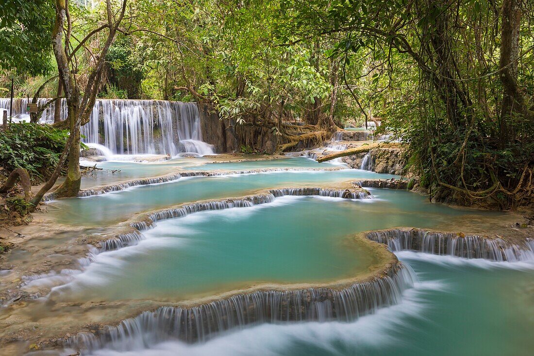 Laos, Luang Prabang province, Kuang Si falls