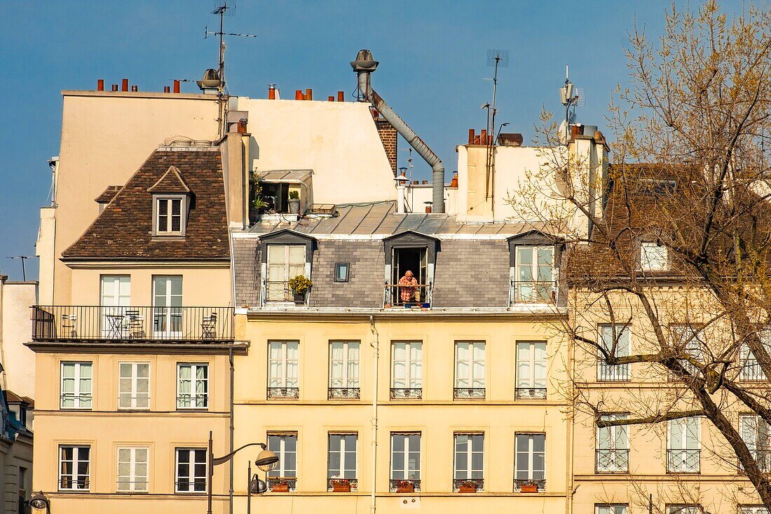 France, Paris, buildings district of Saint Michel