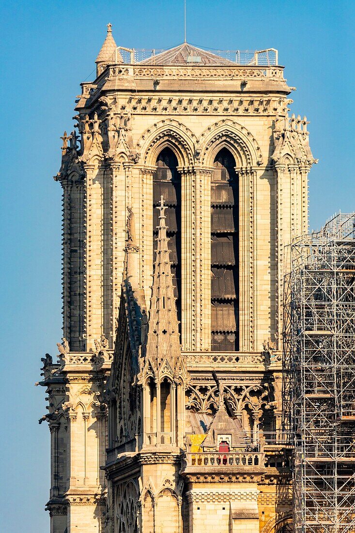 Frankreich, Paris, UNESCO-Welterbe, Ile de la Cite, Kathedrale Notre Dame, Baugerüst