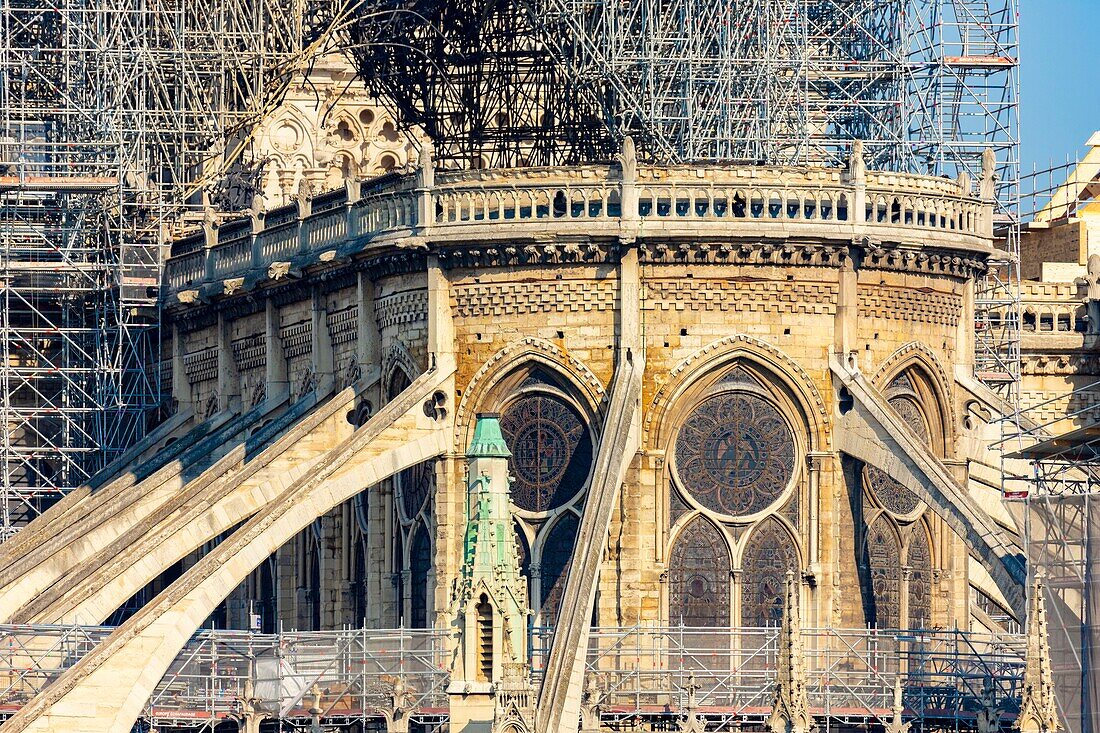 Frankreich, Paris, UNESCO-Welterbe, Ile de la Cite, Kathedrale Notre Dame, Baugerüst