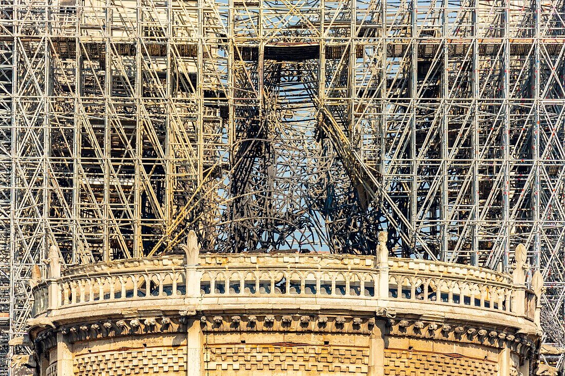 Frankreich, Paris, UNESCO-Welterbe, Ile de la Cite, Kathedrale Notre Dame, Baugerüst