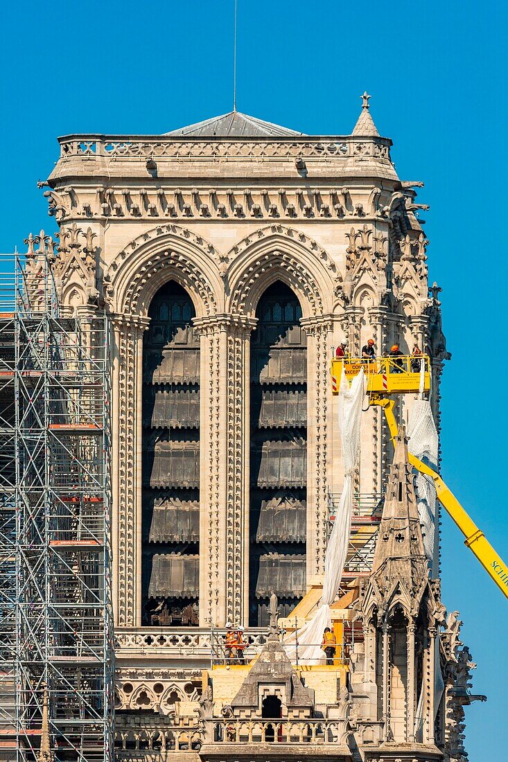 Frankreich, Paris, UNESCO-Welterbe, Ile de la Cite, Kathedrale Notre Dame, Baugerüst, Schutz nach dem Brand