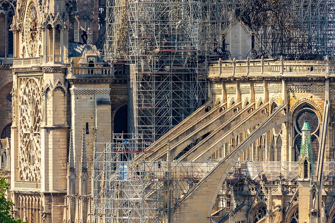 Frankreich, Paris, UNESCO-Welterbe, Ile de la Cite, Kathedrale Notre Dame, Baugerüst