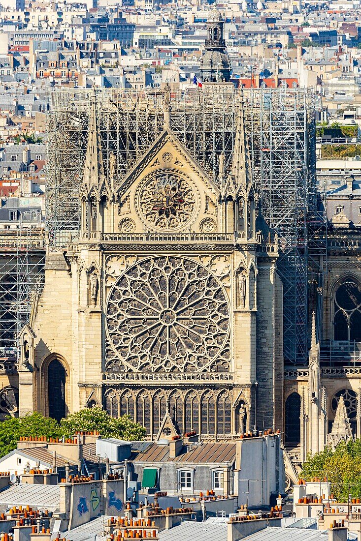 France, Paris, area listed as World heritage by UNESCO, Ile de la Cite, Notre Dame Cathedral South facade, rose window