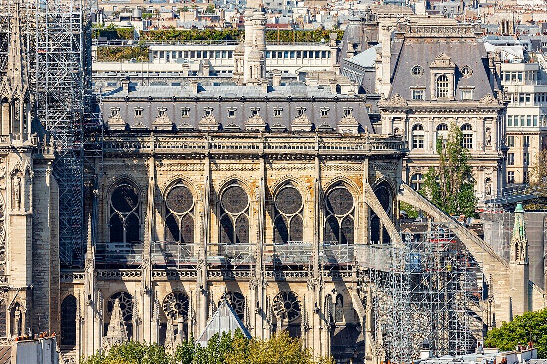 Frankreich, Paris, Welterbe der UNESCO, Ile de la Cite, Kathedrale Notre-Dame