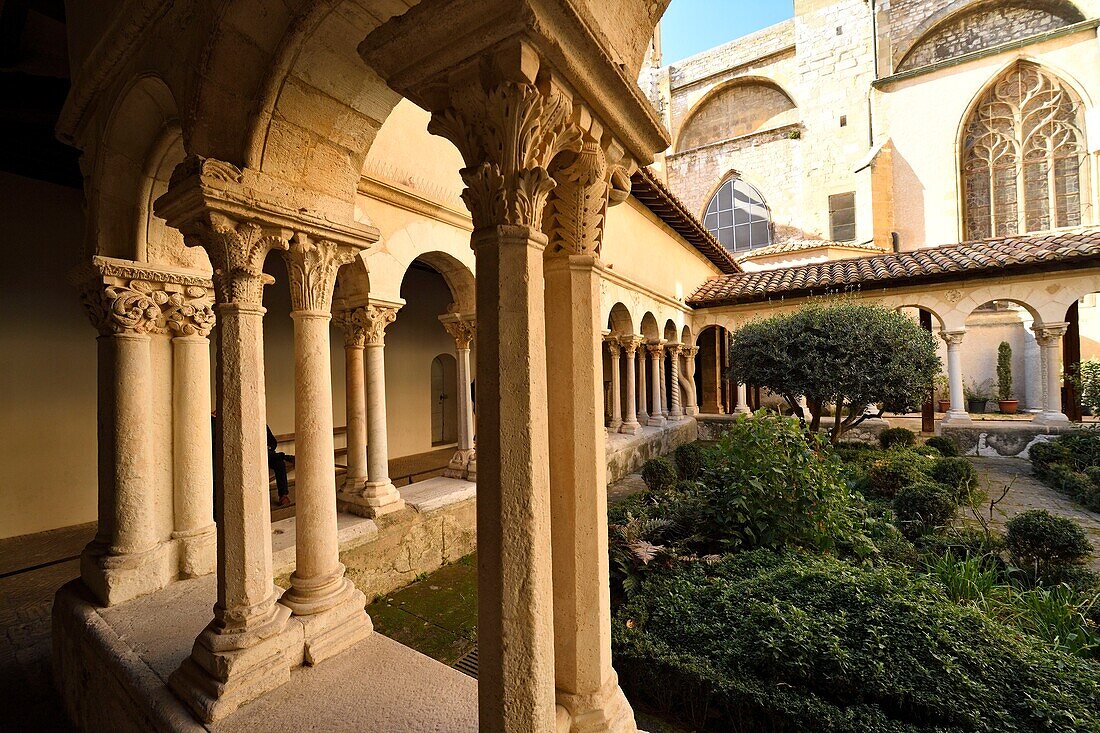 France, Bouches du Rhone, Aix en Provence, Saint Sauveur cathedral, Romanesque cloister of the end of the 12th century