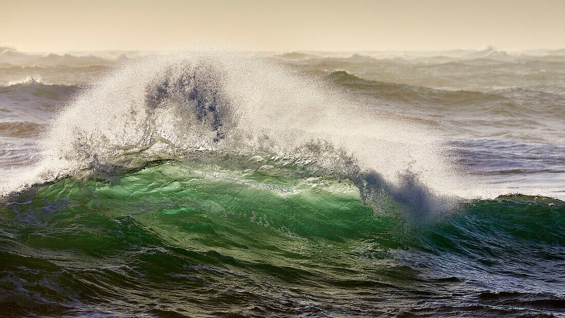 France, Finistere, Iroise Sea, Iles du Ponant, Parc Naturel Regional d'Armorique (Armorica Regional Natural Park), Ile de Sein, labelled Les Plus Beaux de France (The Most Beautiful Village of France), wave on the chaussée de Sein in the west of the island