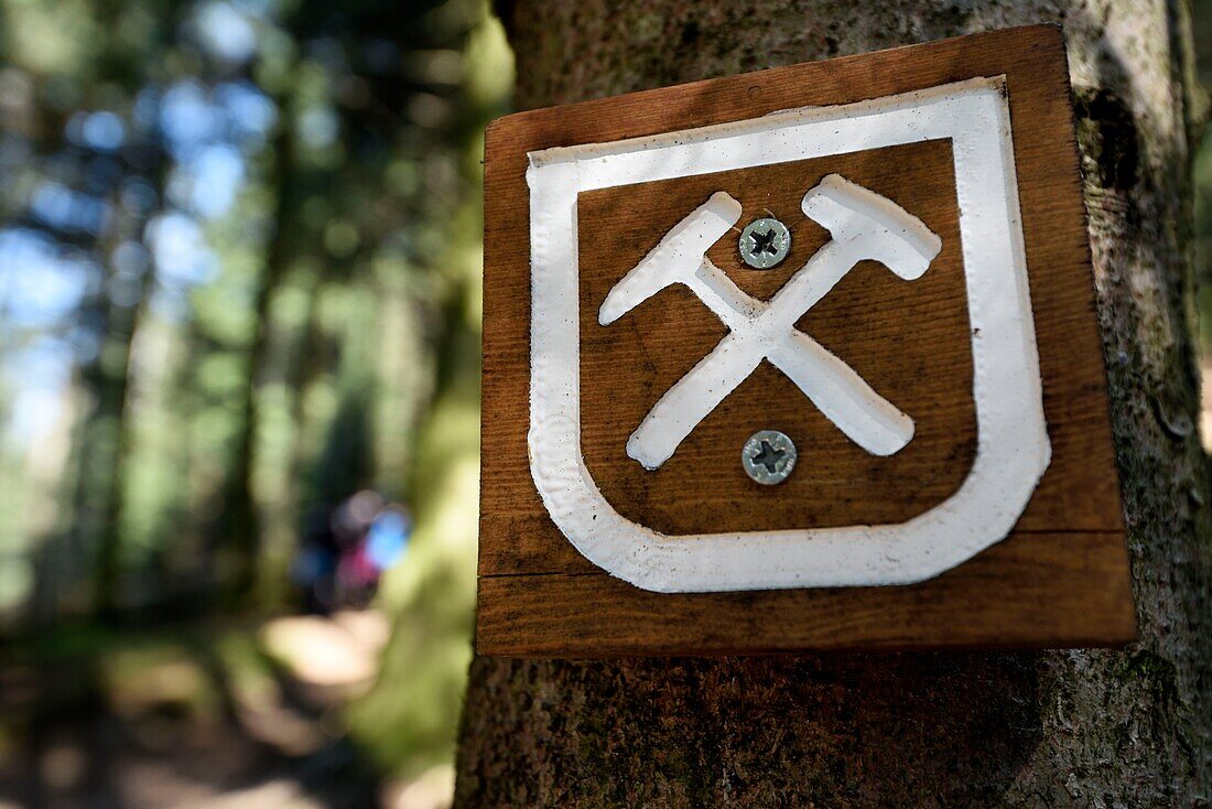 France, Haute Saone, Plancher les Mines, Laurier mining circuit, forest, trail marking on a tree