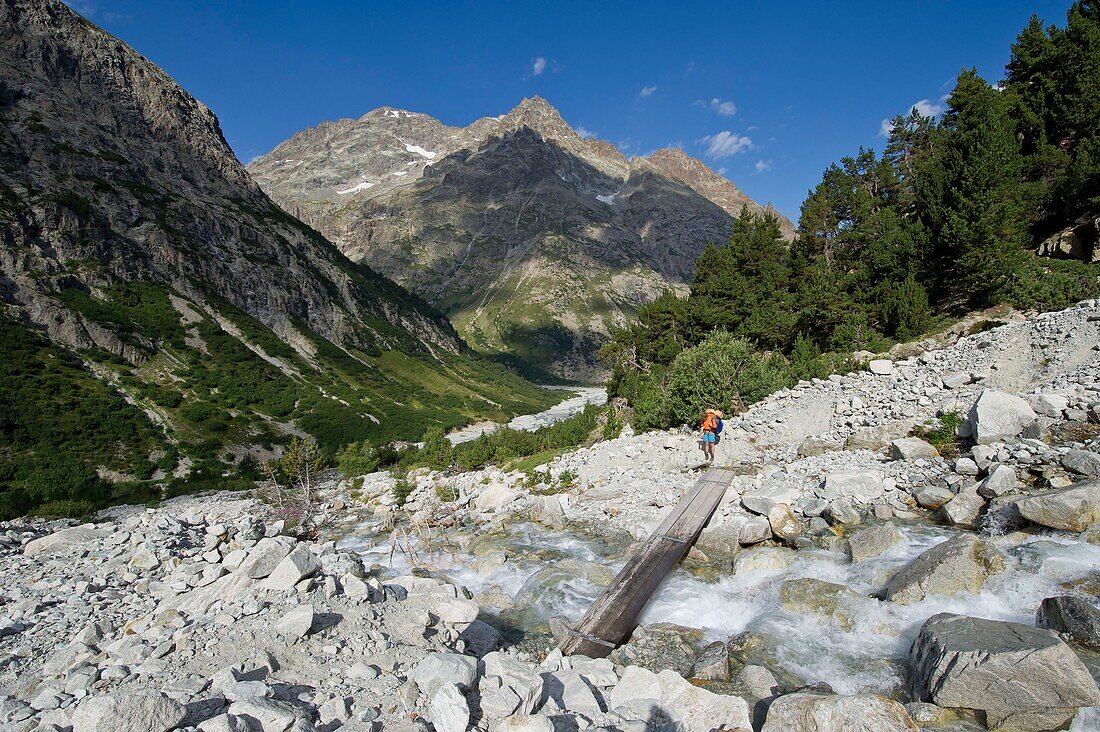 France, Isere, massif of Oisans, National Park of the Ecrins, in the hamlet of Berarde, hiking towards the sanctuary Ecrins Temple passage of the torrent of Pilatte at the bottom summit of Encoula (3536m)