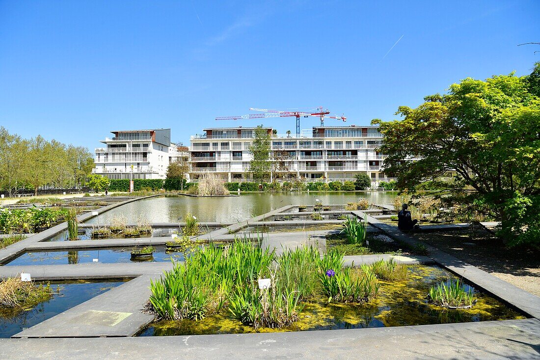 Frankreich, Gironde, Bordeaux, von der UNESCO zum Weltkulturerbe erklärtes Gebiet, Bastide-Viertel, botanischer Garten und neue Bauten