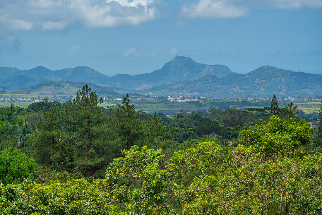 Blick auf die Landschaft in der Nähe des Bois Cheri Tea Estate, Savanne District, Mauritius, Indischer Ozean, Afrika