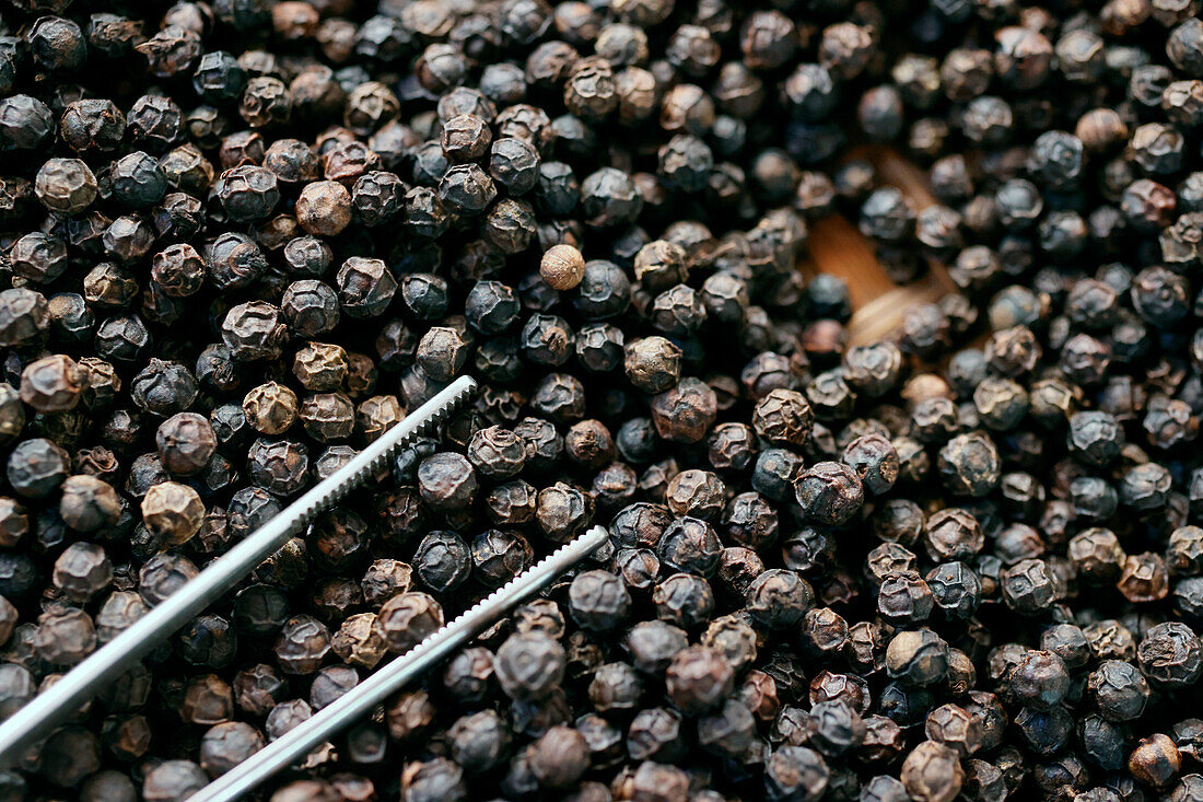Famous Kampot black pepper, one of the best peppers in the world, Pepper farm, Kep, Cambodia, Indochina, Southeast Asia, Asia
