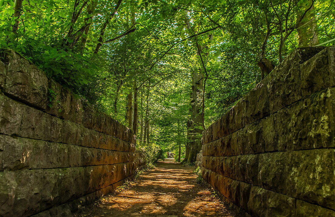 Early summer green canopy at Conishead Priory, Ulverston, Cumbria, England, United Kingdom, Europe