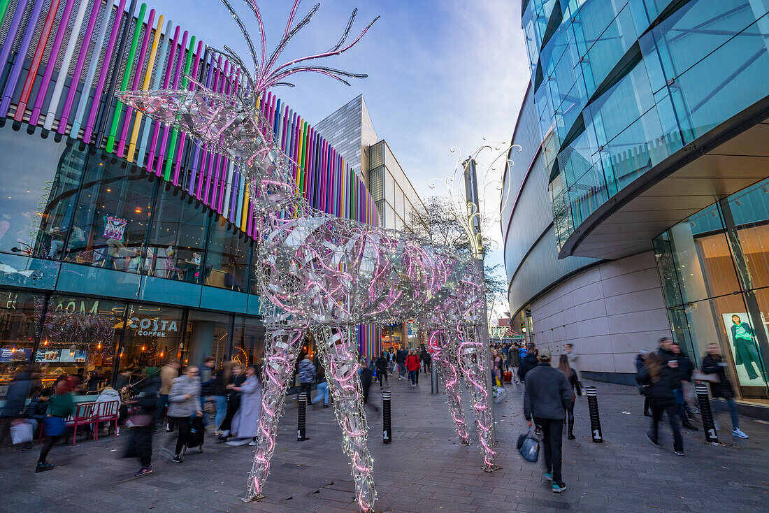 View of shops and Christmas lights, Liverpool City Centre, Liverpool, Merseyside, England, United Kingdom, Europe