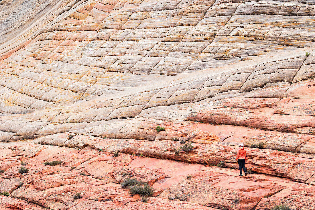 Ein Mädchen bewundert an einem Sommertag die schönen Felsformationen im Zion National Park, Utah, Vereinigte Staaten von Amerika, Nordamerika