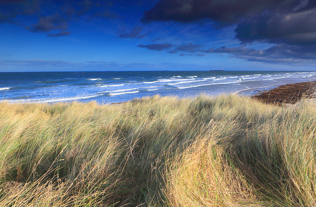 Blick auf die Farne-Inseln von Bamburgh aus, Northumberland, England, Vereinigtes Königreich, Europa