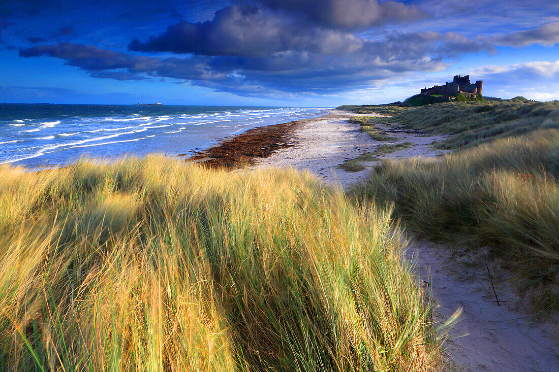 Bamburgh Castle and beach, Northumberland, England, United Kingdom, Europe