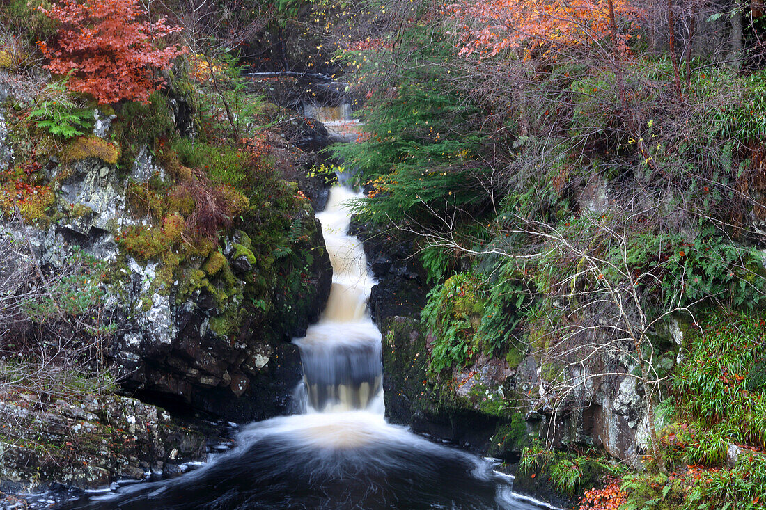 Rogie Falls, Ross-shire, Highlands, Schottland, Vereinigtes Königreich, Europa