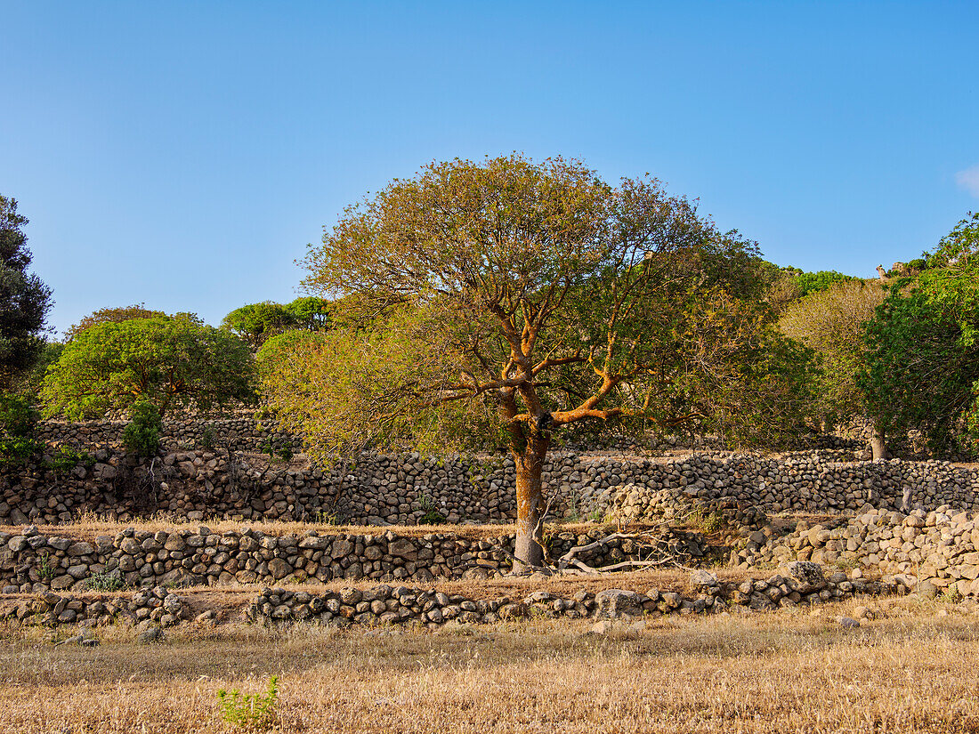 Alte Siedlungsruinen in der Nähe des Dorfes Nikia, Insel Nisyros, Dodekanes, Griechische Inseln, Griechenland, Europa