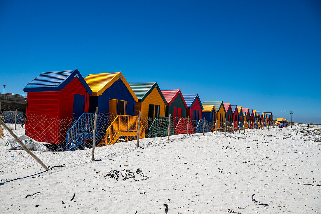 Colourful beach huts on the beach of Muizenberg, Cape Town, South Africa, Africa