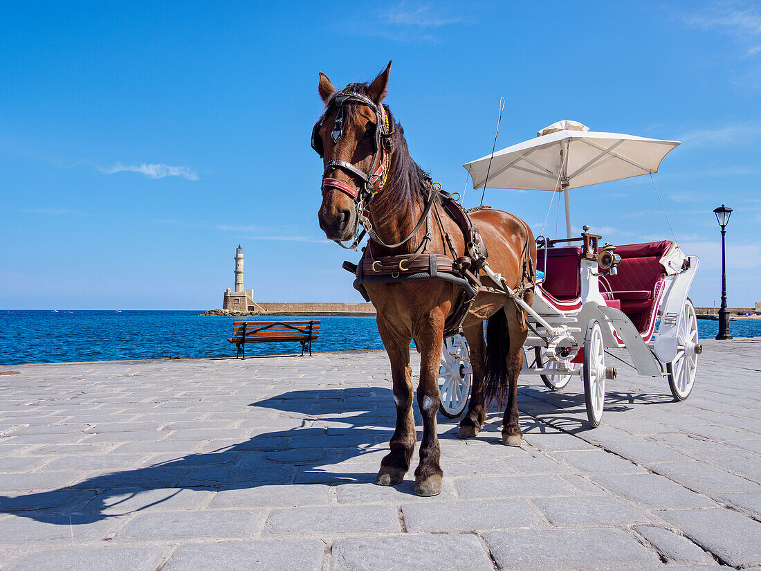 Pferdekutsche am Wasser, Stadt Chania, Kreta, Griechische Inseln, Griechenland, Europa