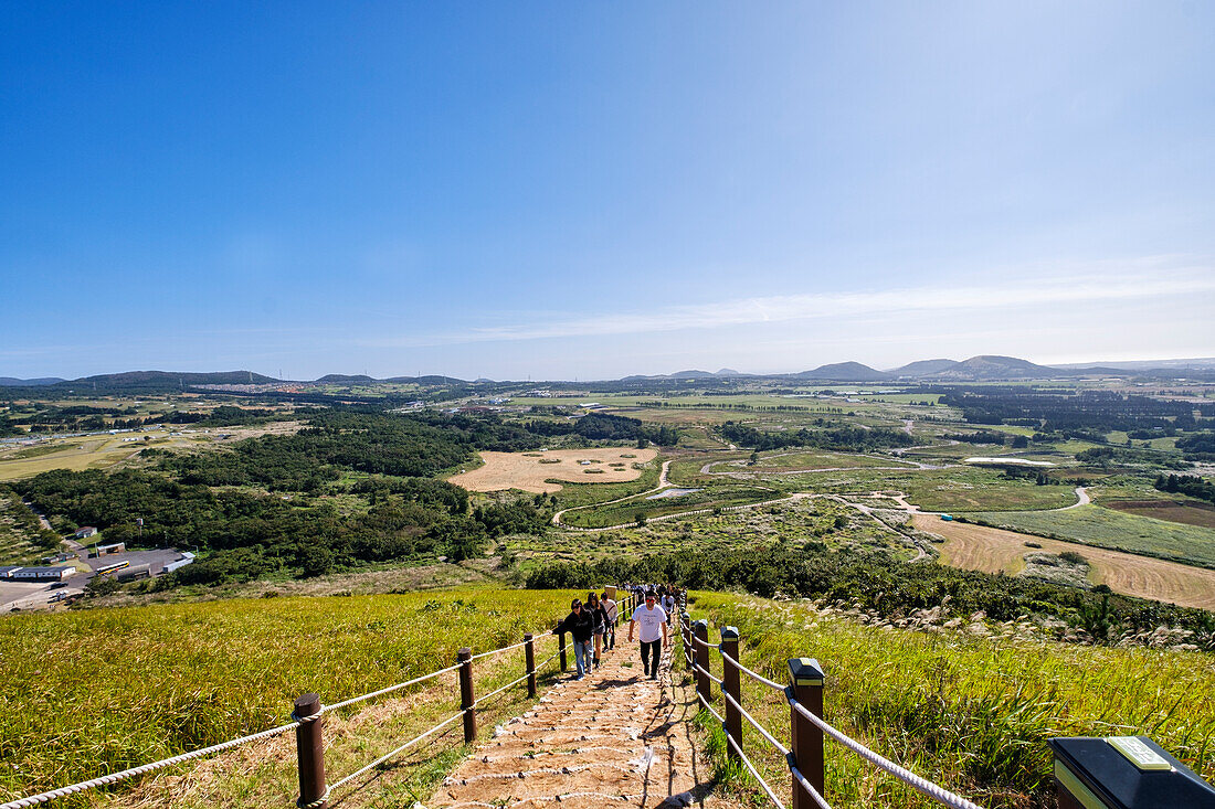 Visitors climbing up path beside silver grass growing during autumn on Saebyeol Oreum peak, Jeju Island, South Korea, Asia