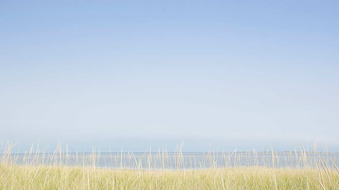 USA, M, Nantucket, Blick auf Nantucket Sound von Madaket aus mit Gras im Vordergrund