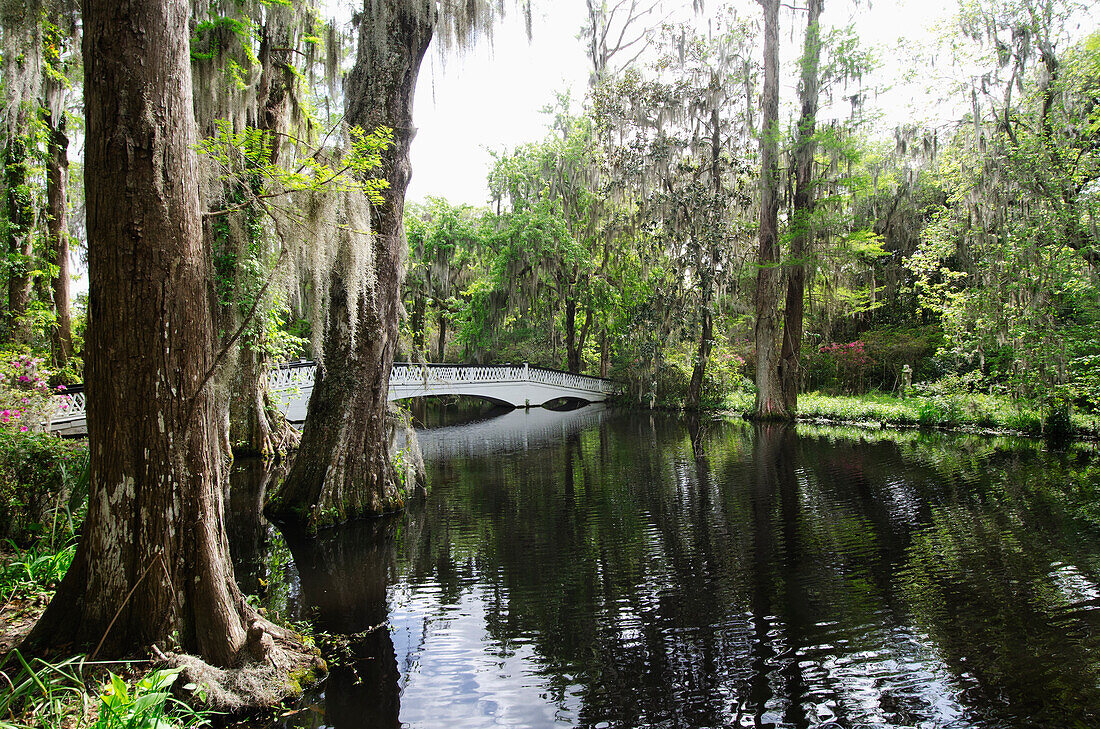 USA, South Carolina, Charleston, Weiße Brücke bei Magnolia Plantation