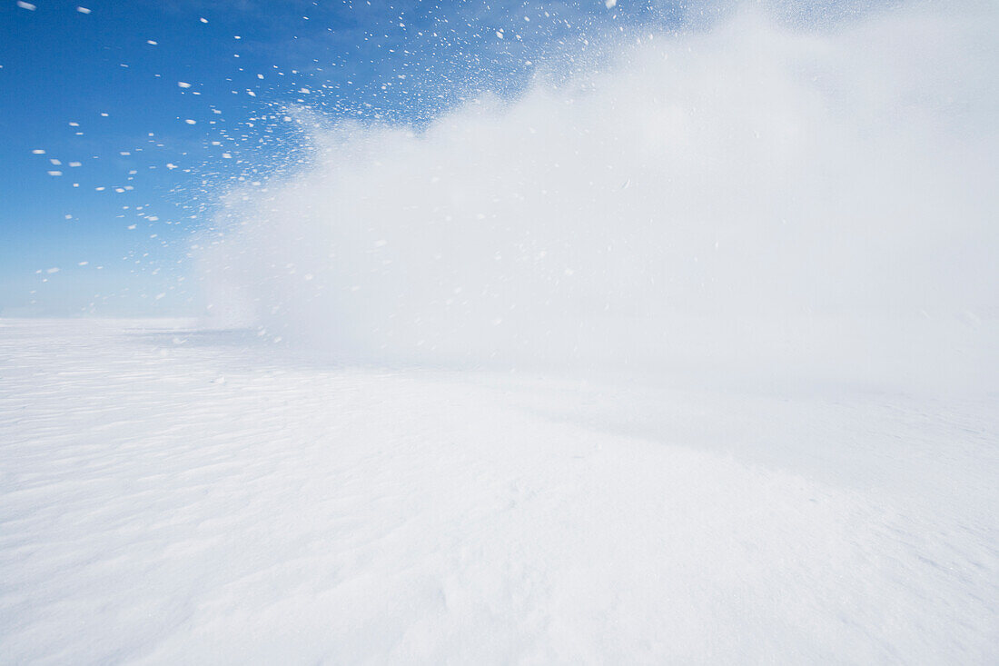 Blast of snow drifting blowing across frozen landscape, Hammond, NY, USA