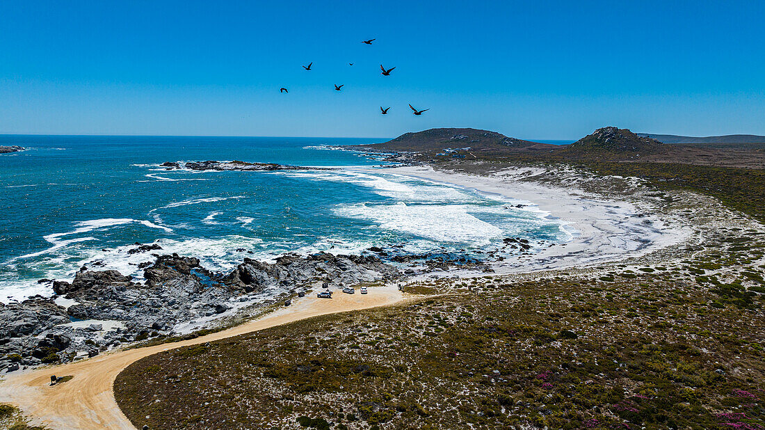 Luftaufnahme eines weißen Sandstrandes, Westküsten-Nationalpark, Westkap-Provinz, Südafrika, Afrika