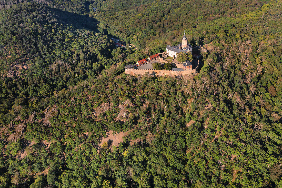 Burg Falkenstein, Harz, Sachsen-Anhalt, Deutschland, Europa