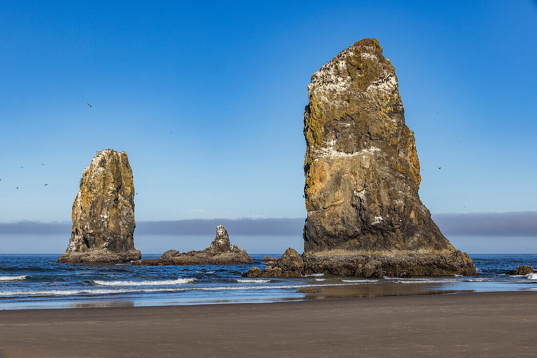 USA, Oregon, Rock formations at Cannon Beach 