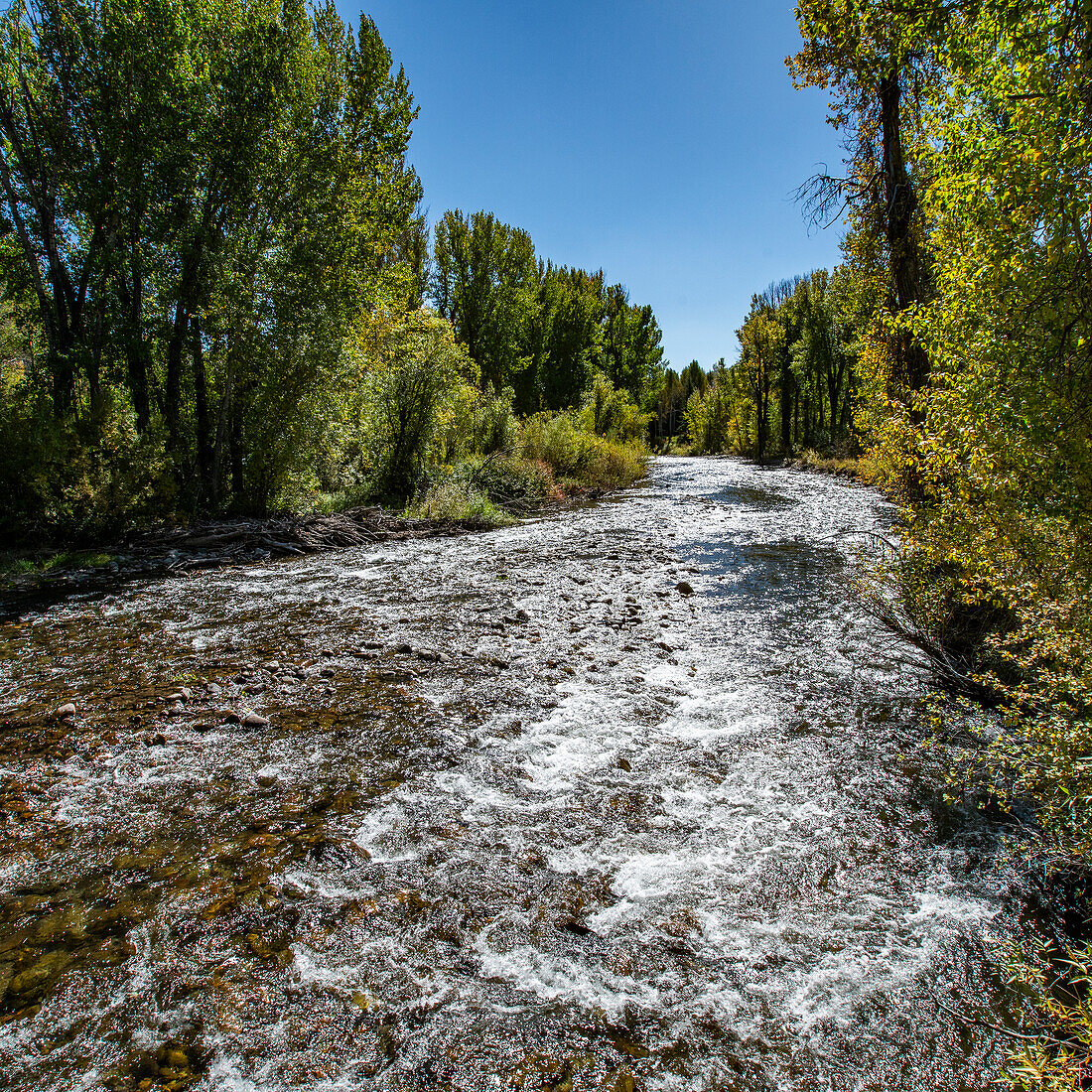 USA, Idaho, Big Wood River in Fall at Sun Valley