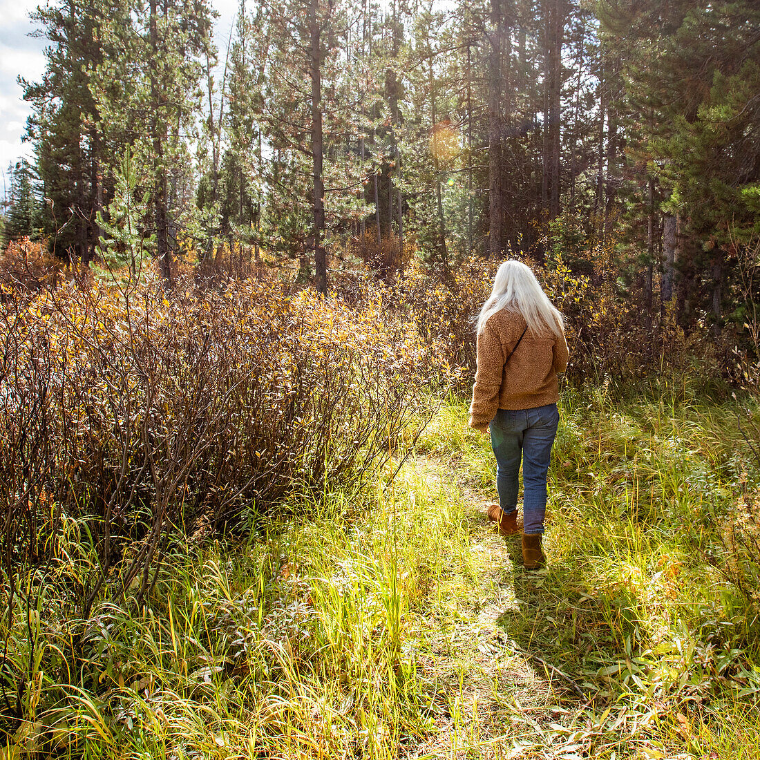 Rückansicht einer durch den Wald gehenden Frau