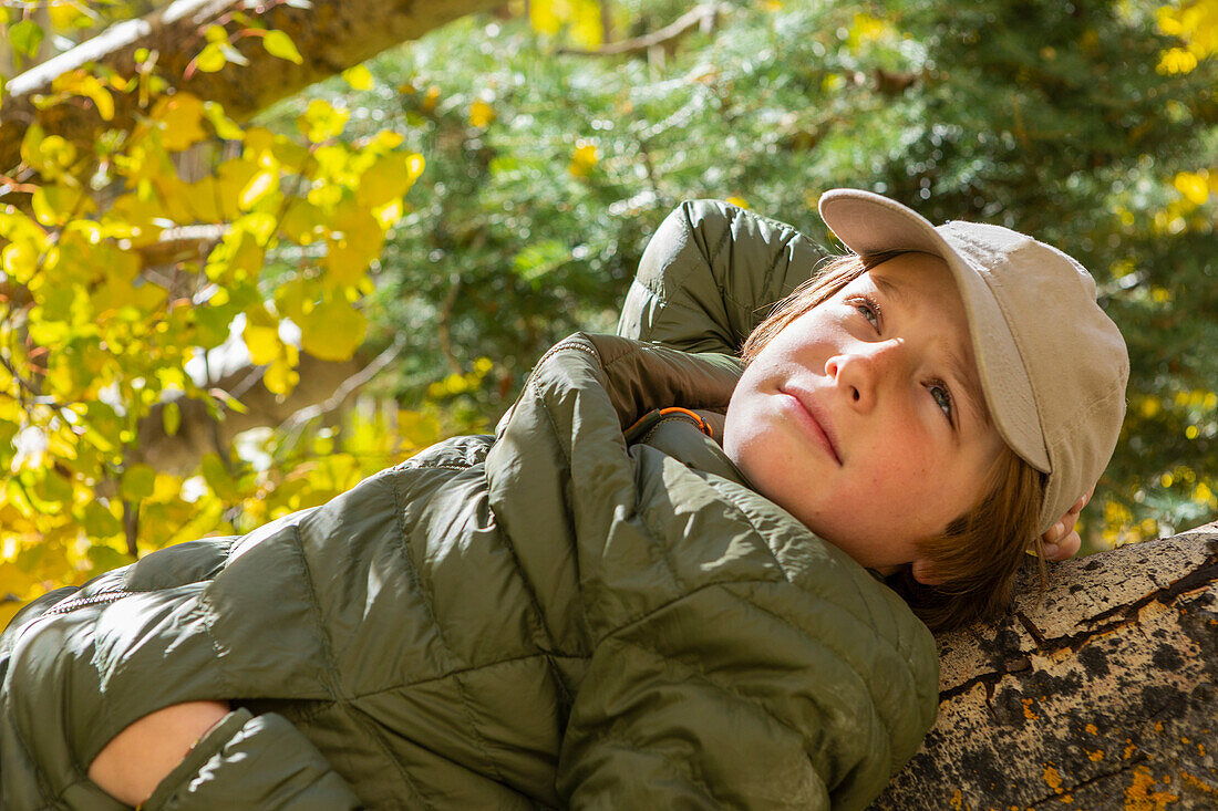 USA, New Mexico, Pensive boy lying on log in Santa Fe National Forest