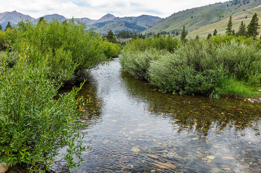 USA, Idaho, Sun Valley, Ruhiger Bach im Hinterland zwischen Büschen