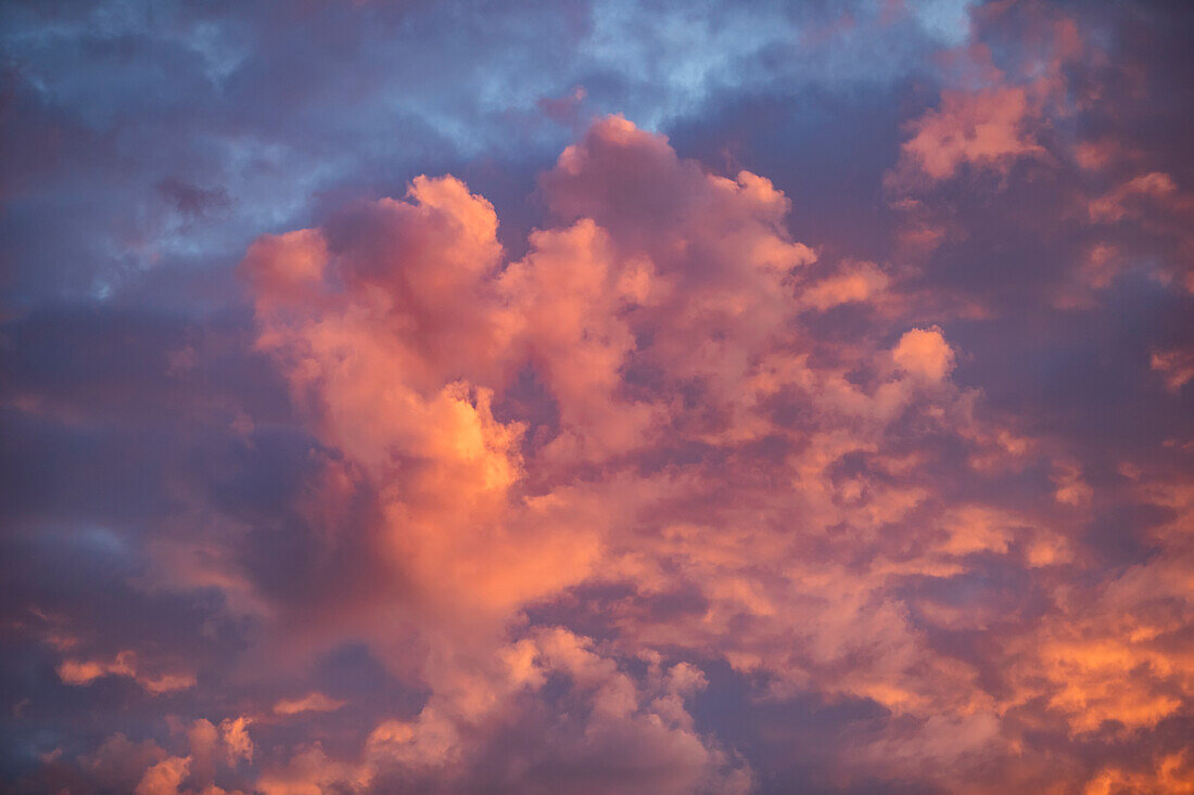 Von der untergehenden Sonne beleuchtete Wolken