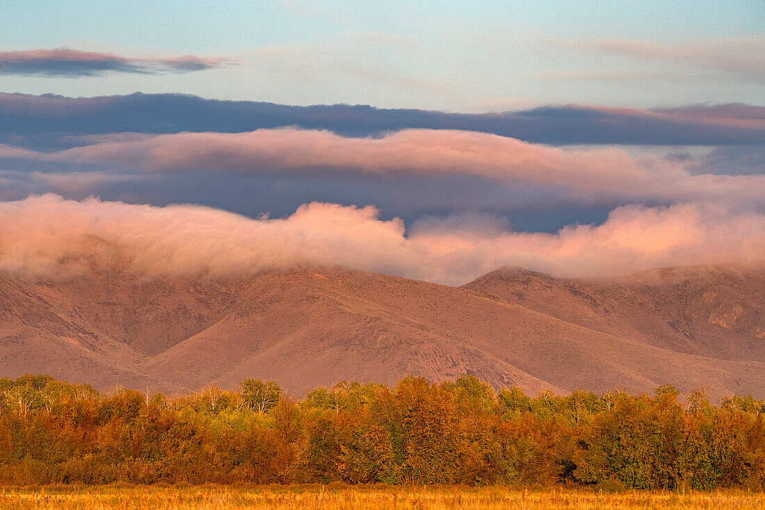 USA, Idaho, Bellevue, Bäume in ländlicher Landschaft mit Bergen im Hintergrund