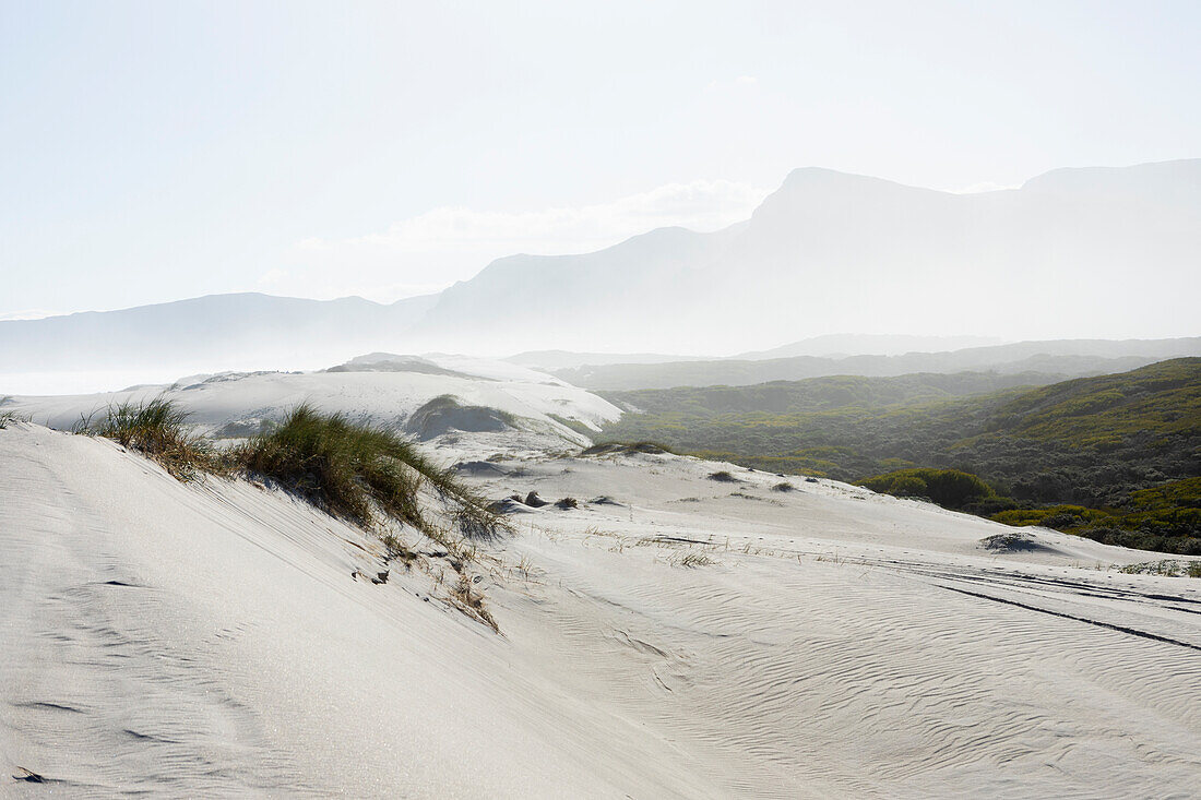 Südafrika, Hermanus, Sandige Landschaft im Walker Bay Naturreservat