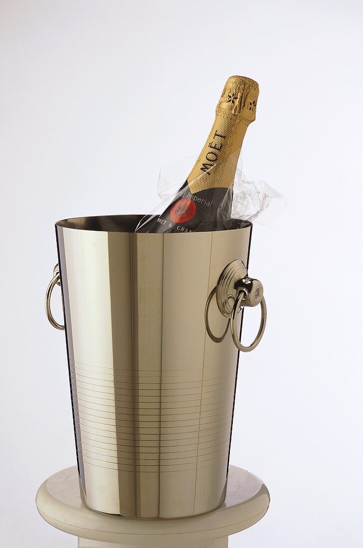 Champagnerflasche (Moet & Chandon) im Sektkübel