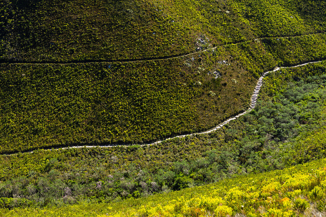 Südafrika, Hermanus, Wanderweg in den Bergen im Fernkloof Naturreservat
