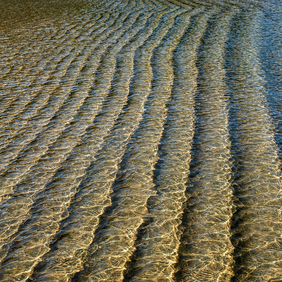 Underwater ridges in sand beneath incoming tide 