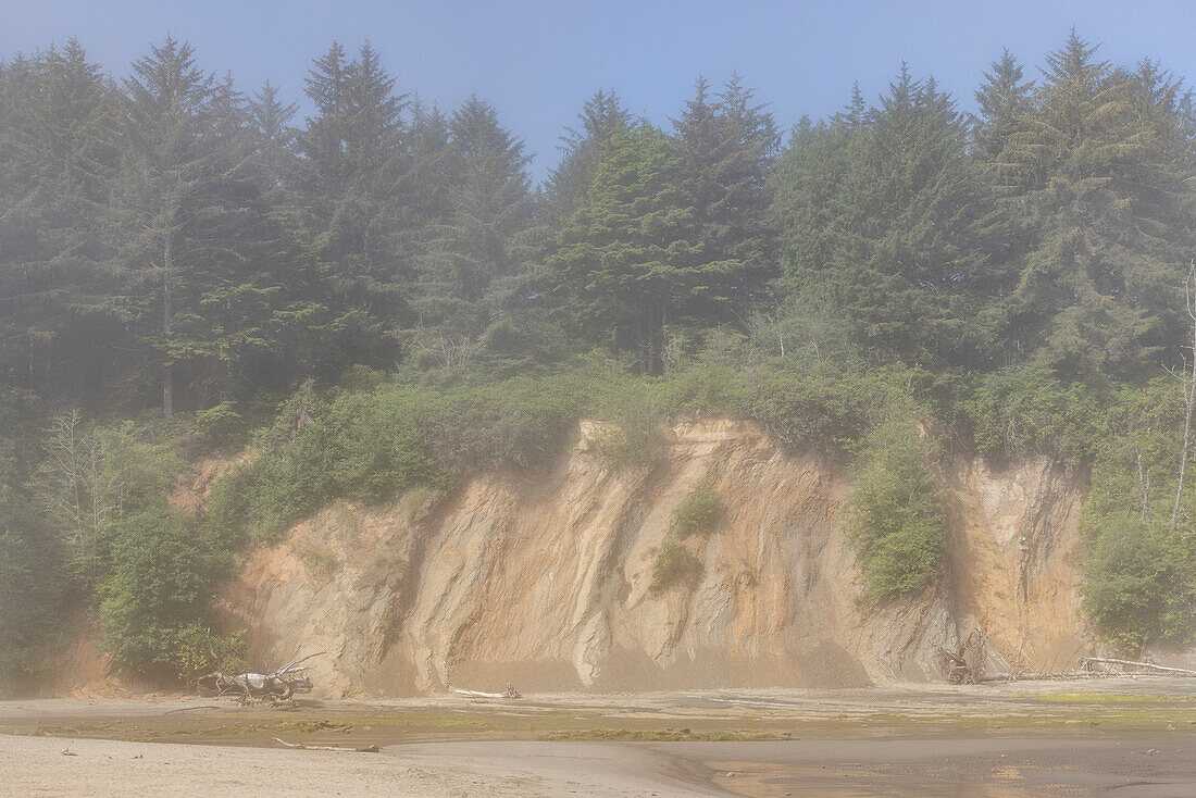 USA, Oregon, Coos Bay, Rocky headlands and forest along coast