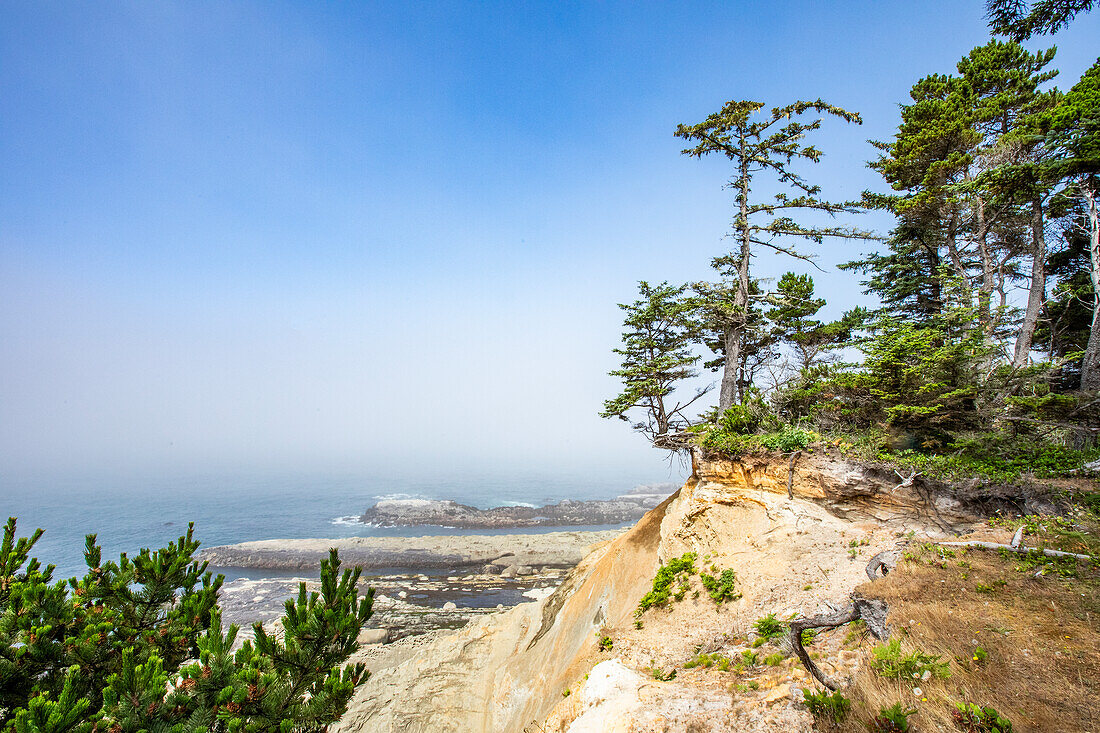 USA, Oregon, Coos Bay, Rocky headlands and forest along coast