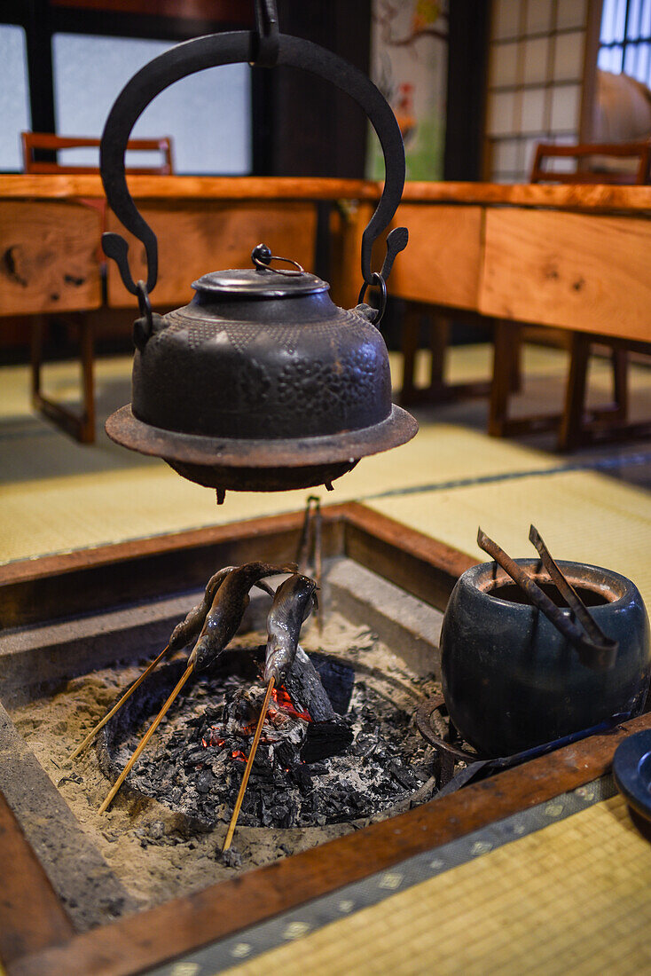 Gassho-zukuri Village of Ainokura