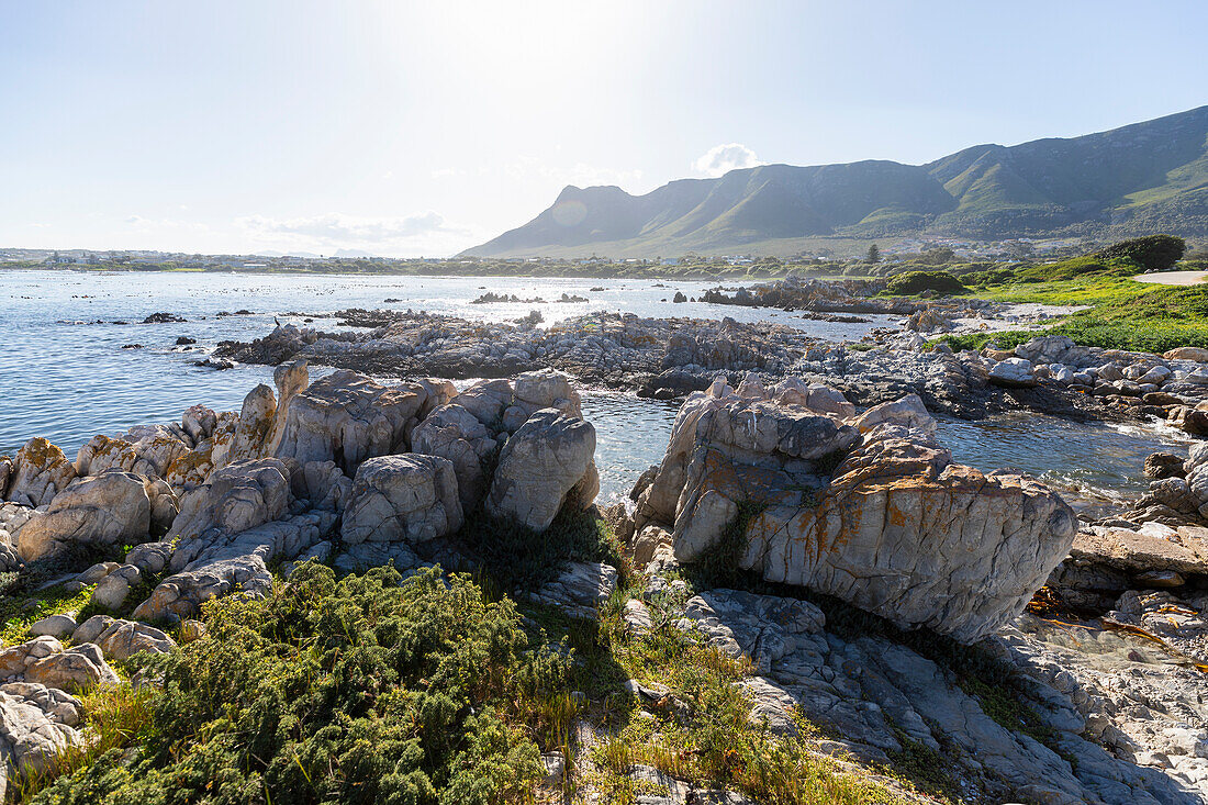 South Africa, Rocky coast and Onrus Beach at sunny day