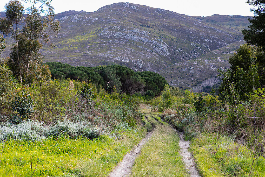 South Africa, Hiking trail in Stanford Valley