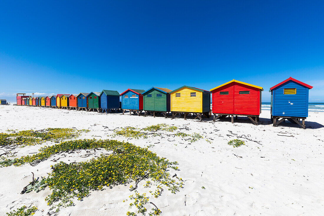 South Africa, Muizenberg, Row of colorful beach huts on Muizenberg Beach