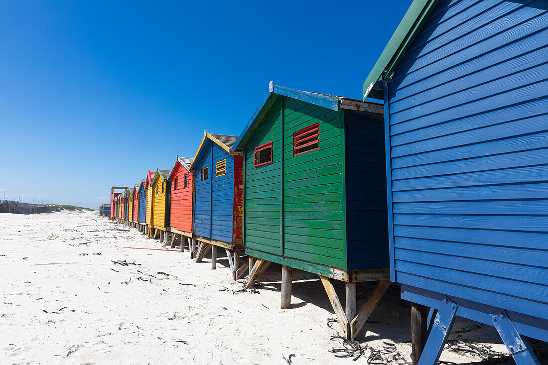 South Africa, Muizenberg, Row of colorful beach huts on Muizenberg Beach