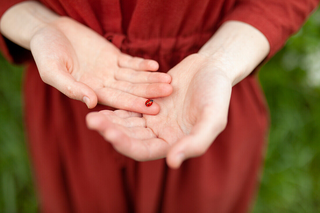 Young woman holding ladybug in hands on meadow